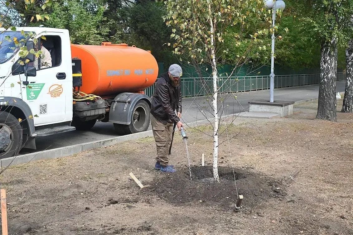 В Нагорном парке Барнаула высадили новые деревья В Нагорном парке Барнаула высадили новые деревья
