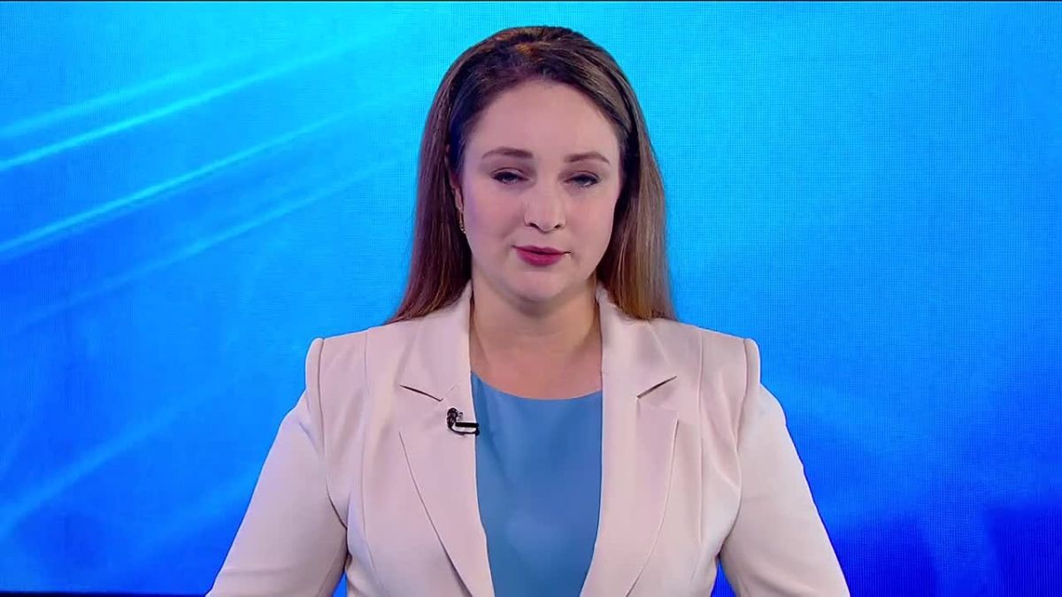 В Барнауле пройдёт благотворительный концерт от приюта «Кошкин дом» и музыкальных коллективов