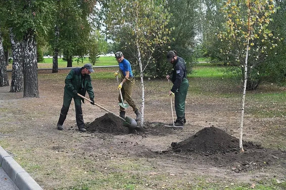 В Нагорном парке Барнаула высадили новые деревья