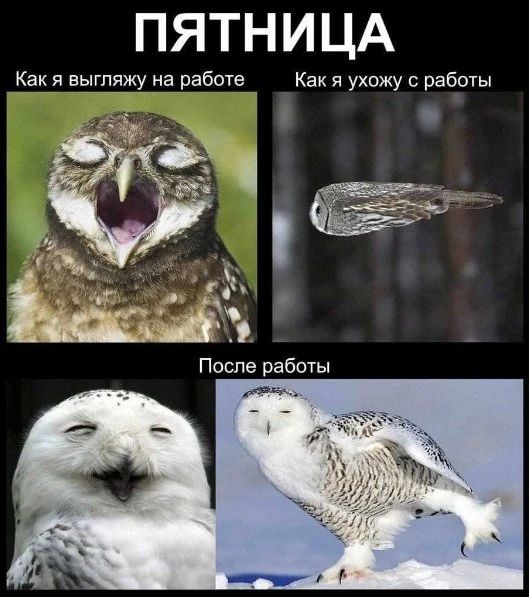 Доброе утро, Алтайский край!
