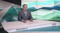 В форуме «От профессии к призванию», который накануне состоялся в ГУ МВД России по Алтайскому краю, приняли участие молодые сотрудники органов внутренних дел края , которые только начинают свой путь в профессии