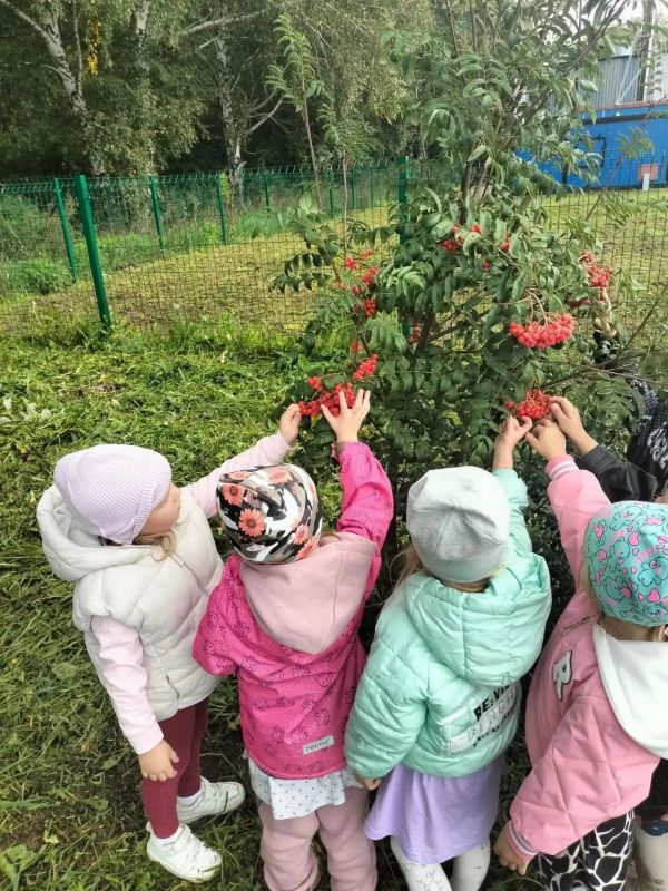 Детский сад «Светлячок»: место, где растут возможности Детский сад «Светлячок»: место, где растут возможности
