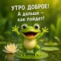 ������ ����, ��������� ����!