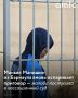 Барнаульский маньяк Виталий Манишин подал жалобу на приговор в восьмой кассационный суд общей юрисдикции