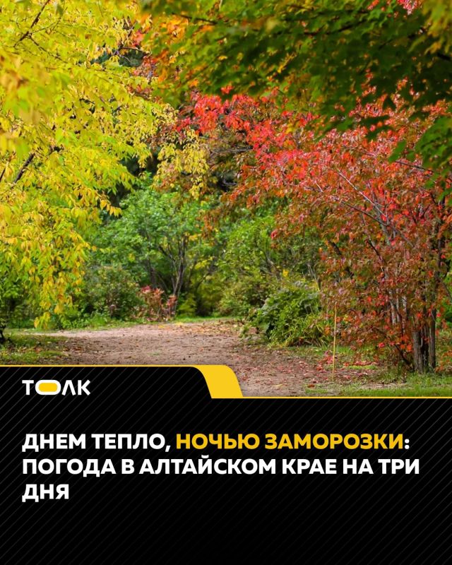 Днем тепло, ночью заморозки: погода в Алтайском крае на три дня