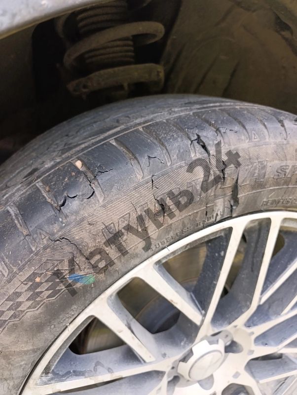 Очевидцы: медведь повредил автомобиль туристов в Чемальском районе на Алтае Очевидцы: медведь повредил автомобиль туристов в Чемальском районе на Алтае
