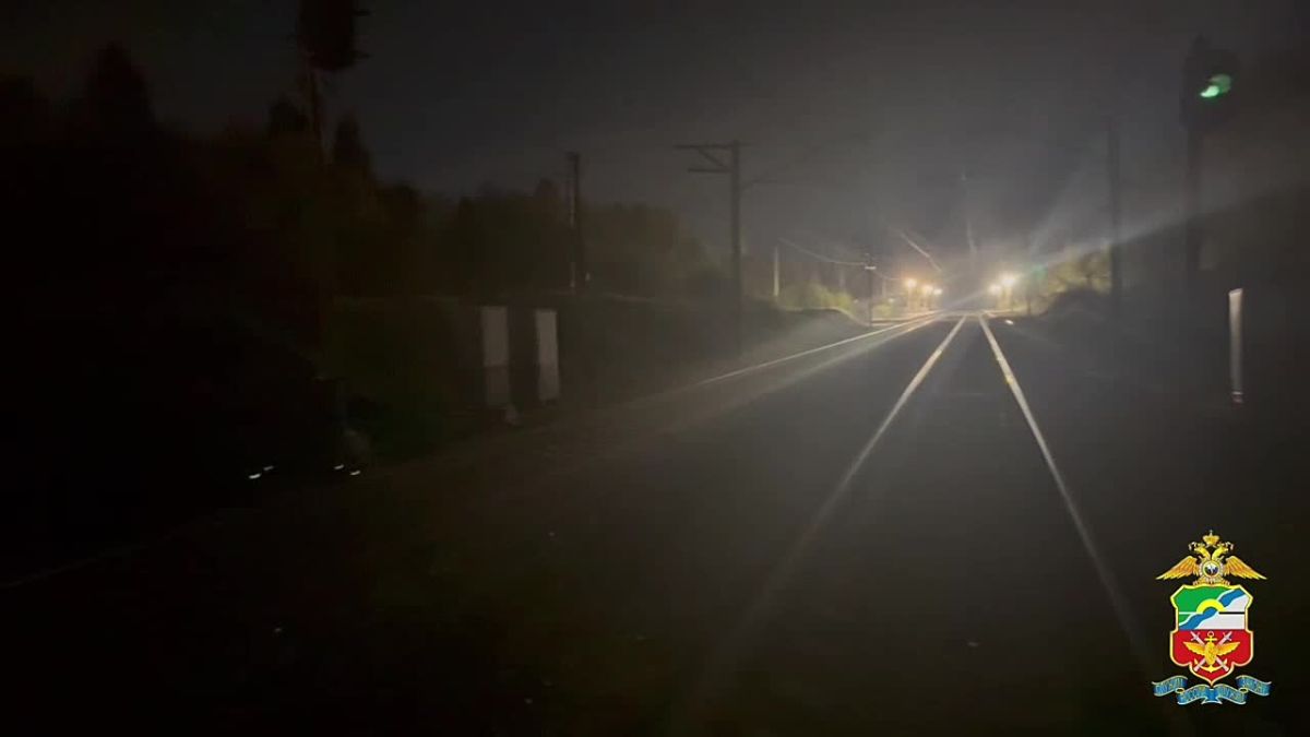 На Алтае мужчина погиб под колесами поезда