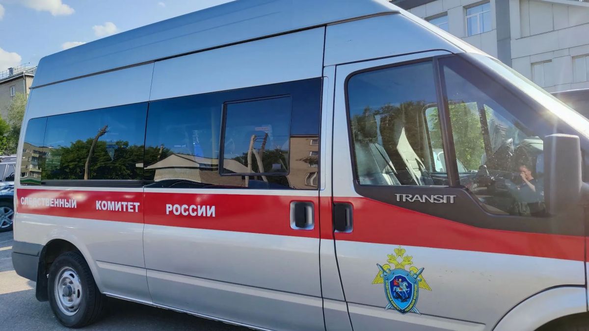 В Угловском районе в суд направлено уголовное дело о смертельном ДТП и незаконной рубке лесных насаждений