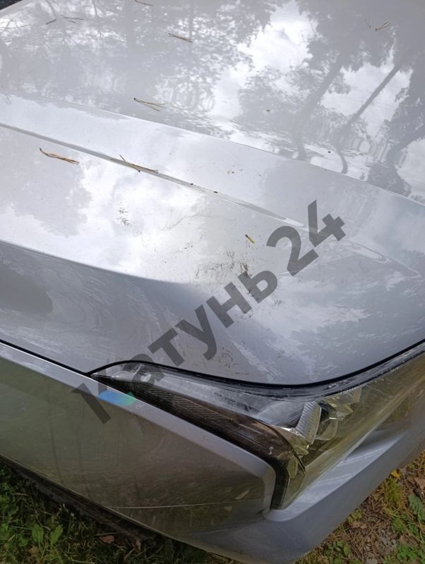 Очевидцы: медведь повредил автомобиль туристов в Чемальском районе на Алтае Очевидцы: медведь повредил автомобиль туристов в Чемальском районе на Алтае