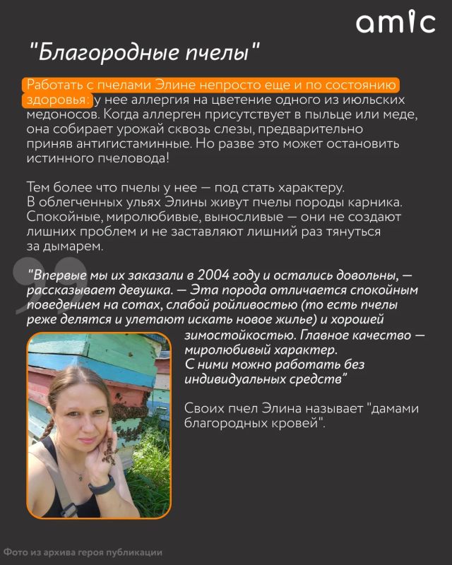 А вы любите мед? Это просто банка на полке или что-то большее? Для Элины Эллерт мед — не только сладость к чаю А вы любите мед? Это просто банка на полке или что-то большее? Для Элины Эллерт мед — не только сладость к чаю