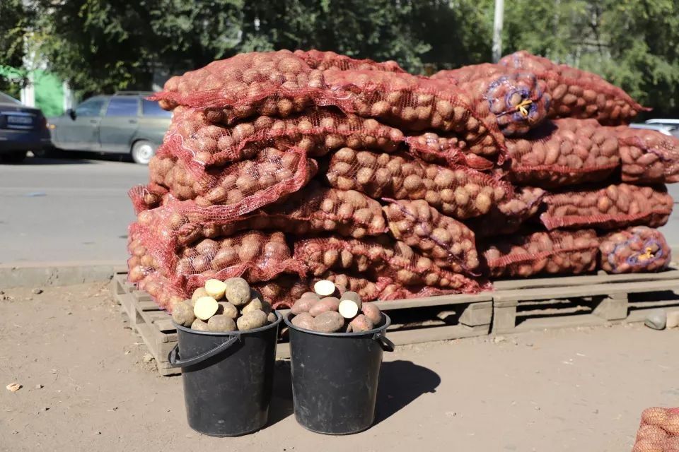 В конце сентября в Бийске спрос на картофель и лук стал больше В конце сентября в Бийске спрос на картофель и лук стал больше