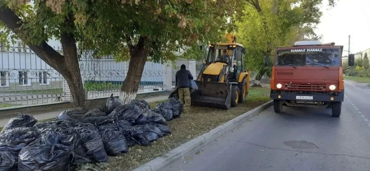 В Барнауле стартовал месячник осенней санитарной, противопожарной очистки и благоустройства В Барнауле стартовал месячник осенней санитарной, противопожарной очистки и благоустройства