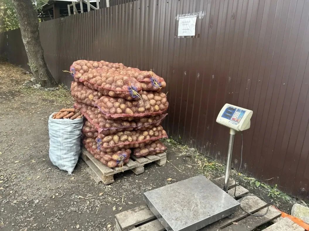 В Октябрьском районе Барнаула усилили рейды против незаконной торговли В Октябрьском районе Барнаула усилили рейды против незаконной торговли