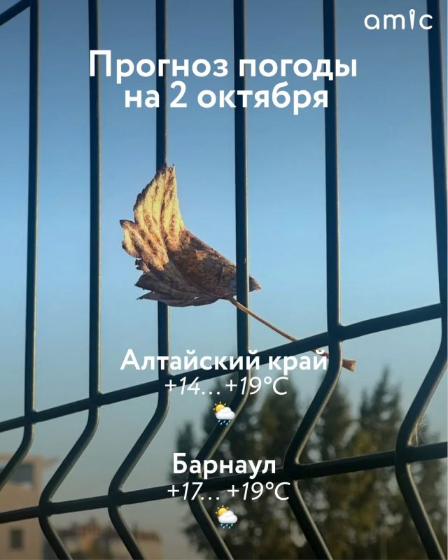 Доброе утро! О погоде в Алтайском крае 2 октября