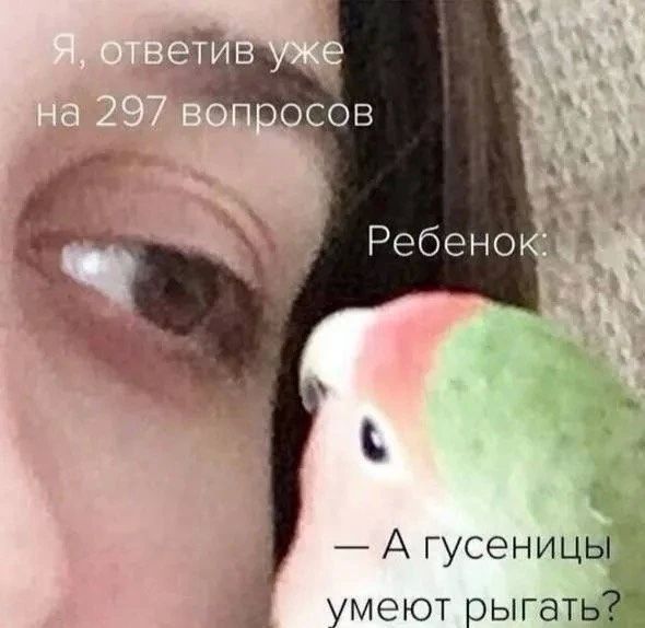 Доброе утро, Алтайский край!