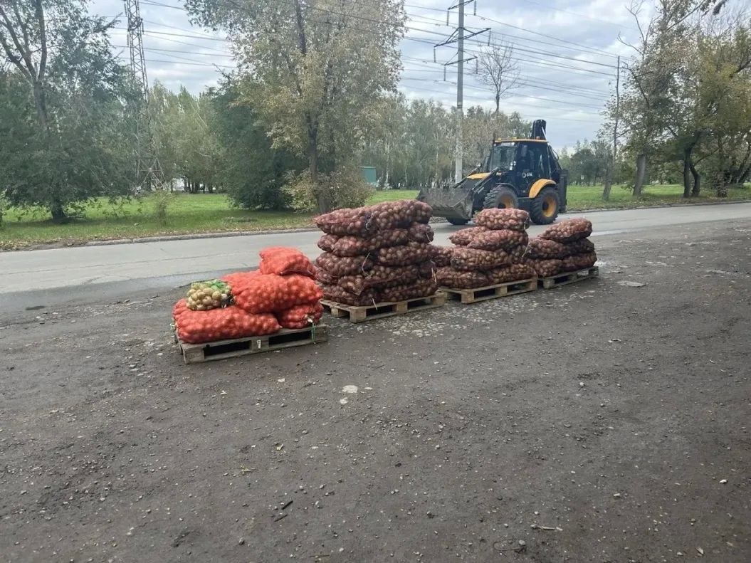 В Октябрьском районе Барнаула усилили рейды против незаконной торговли В Октябрьском районе Барнаула усилили рейды против незаконной торговли