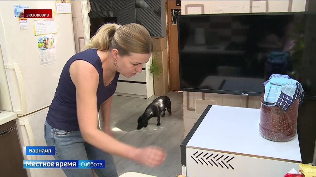 В День грибника алтайские «Вести» побывали в гостях у любителей тихой охоты