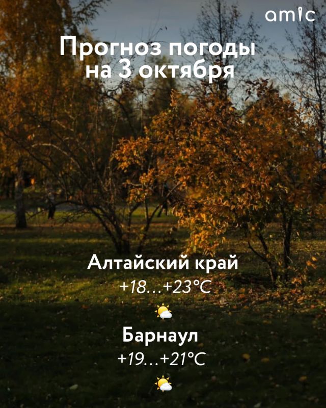 Доброе утро! О погоде на 3 октября