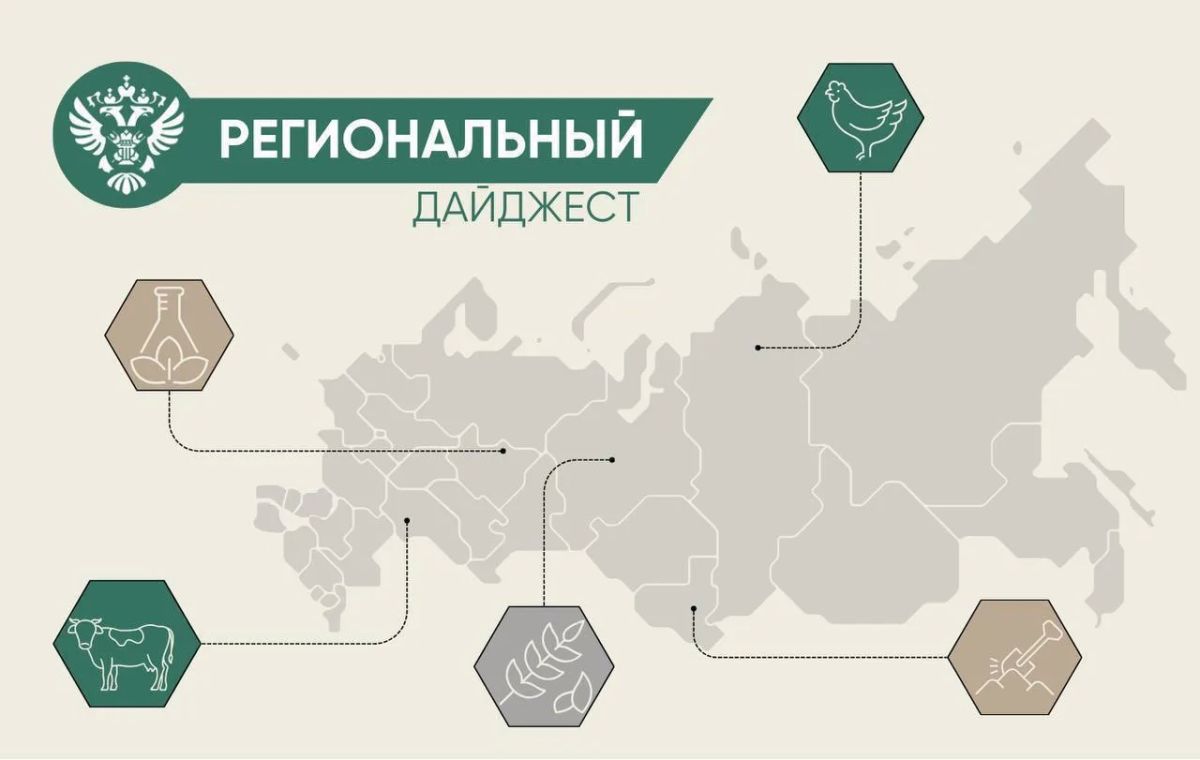 В нашей постоянной рубрике рассказываем о деятельности Россельхознадзора в регионах