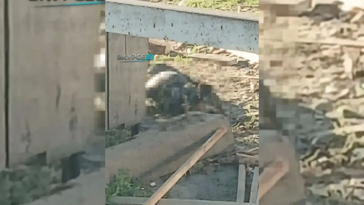 Ударили топором и бросили в мешок