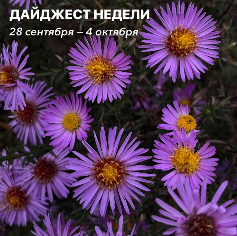 Дайджест недели. Собрали небольшую традиционную подборку новостей прошедшей недели