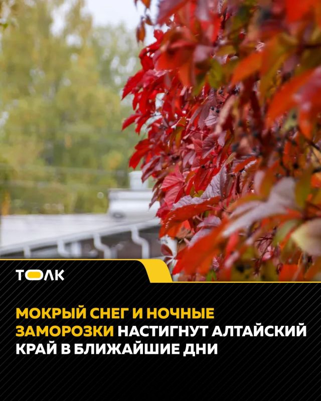 В ближайшие несколько дней в Алтайском крае ночью похолодает до "минуса"