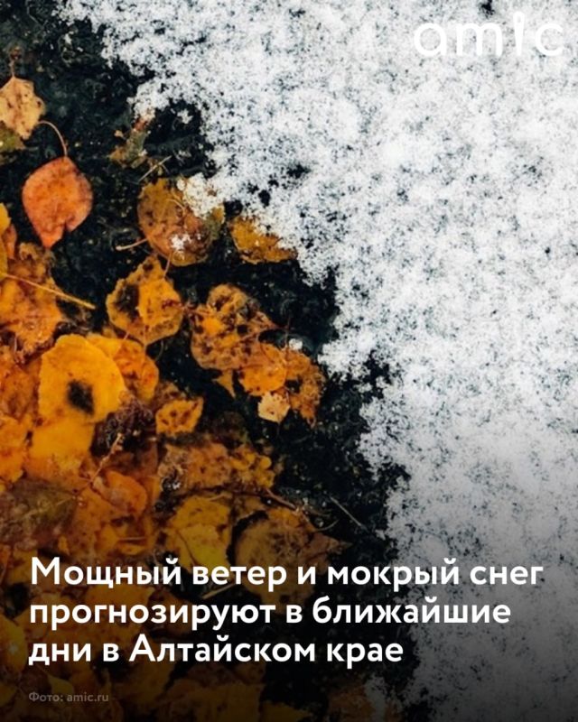 В Алтайском крае ожидается ухудшение погоды до конца дня 6 октября и в первой половине ночи 7 октября