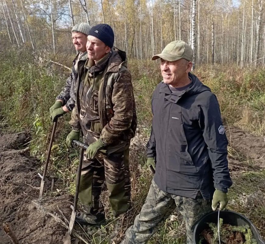 «Сохраним лес»: более 80 тысяч деревьев высадили в Залесовском лесничестве
