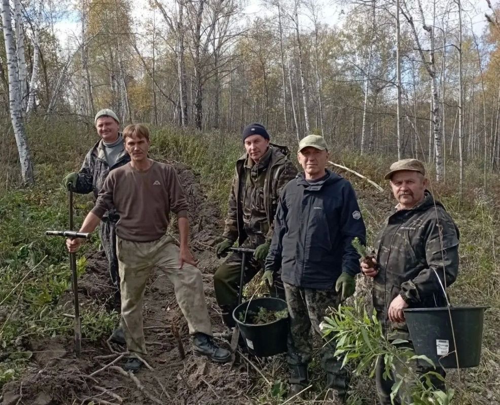 «Сохраним лес»: более 80 тысяч деревьев высадили в Залесовском лесничестве «Сохраним лес»: более 80 тысяч деревьев высадили в Залесовском лесничестве