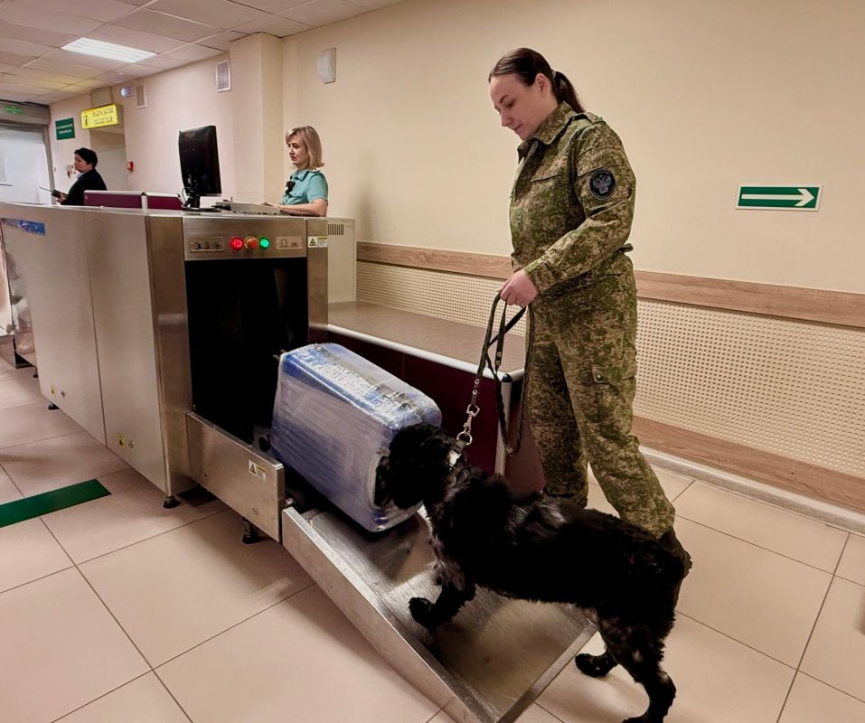 Первый самолет вылетел из Барнаула в Абхазию Первый самолет вылетел из Барнаула в Абхазию