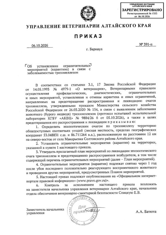Медведи стали причиной нового очага опасной болезни в Алтайском крае