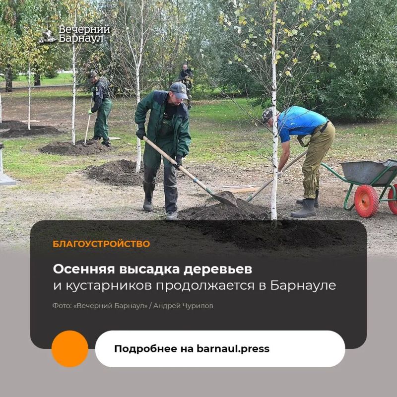 В Барнауле 15 сентября началась осенняя кампания по высадке зелёных насаждений