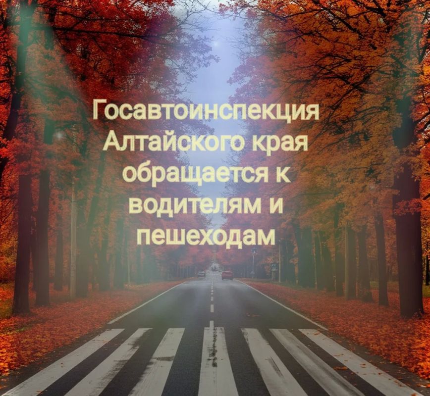 Госавтоинспекция Алтайского края обращается к водителям и пешим участникам дорожного движения