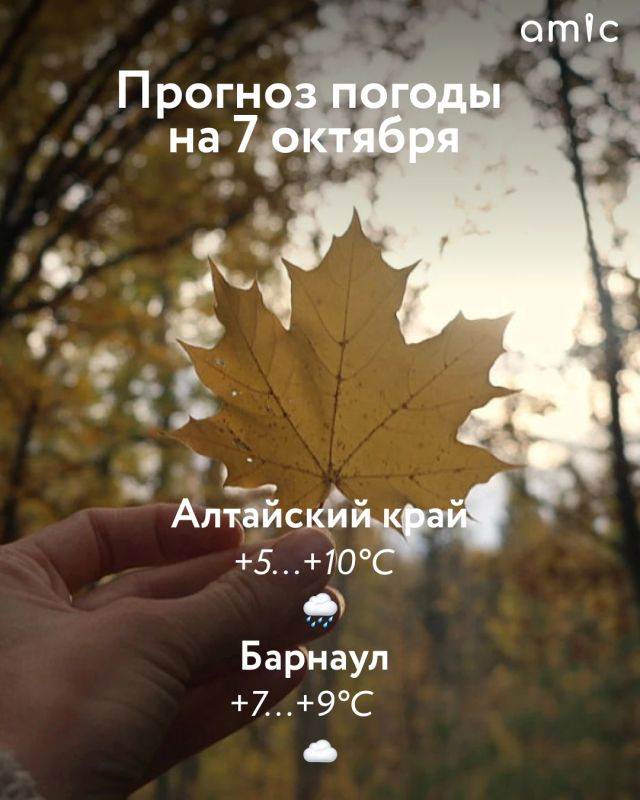 Доброе утро! О погоде в Алтайском крае 7 октября