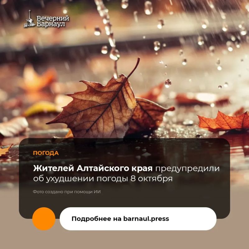 Усиление ветра до 17–22 метров в секунду, с порывами до 25 метров и более, прогнозируется во второй половине дня 8 октября, в ночь на 9 октября местами ожидаются сильные дожди
