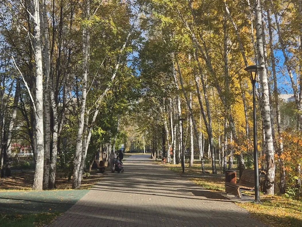 В Барнауле продолжается благоустройство общественной зоны в рамках национального проекта «Инфраструктура для жизни» В Барнауле продолжается благоустройство общественной зоны в рамках национального проекта «Инфраструктура для жизни»