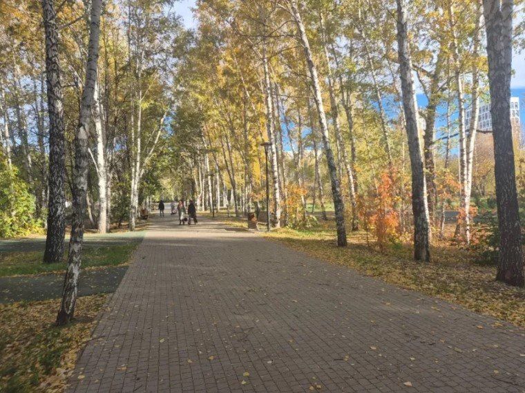 В Барнауле продолжают благоустраивать парк имени Ленина В Барнауле продолжают благоустраивать парк имени Ленина