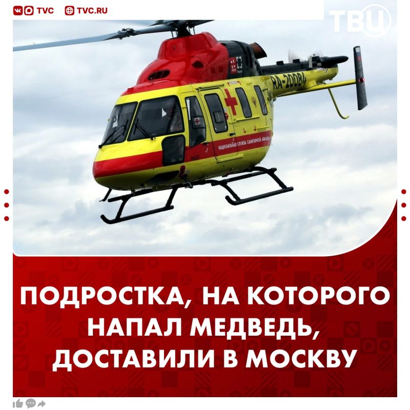 Подростка, на которого напал медведь в Алтайском крае, доставили в Москву