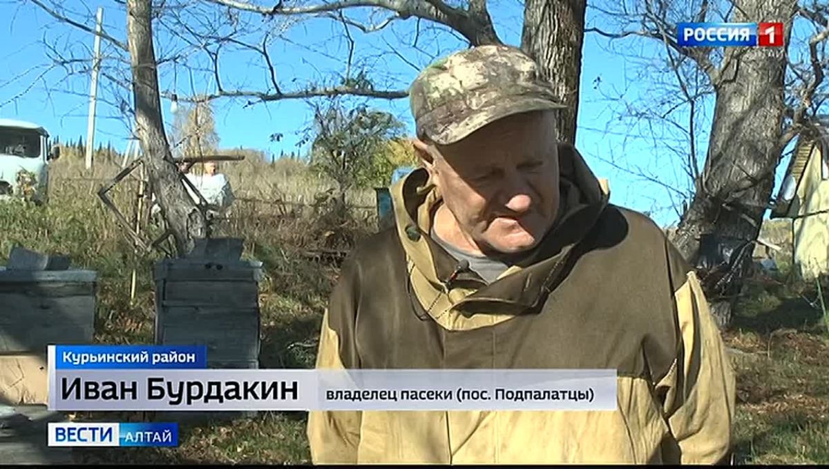 На троих – 240 лет: «старики-разбойники» из Поспелихинского района покоряют вершины и ныряют в горные реки