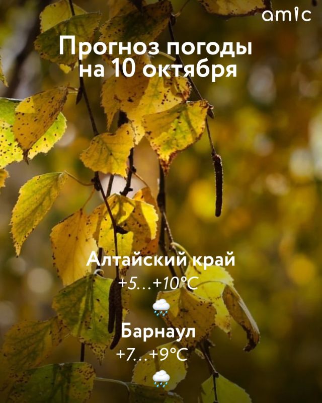 Доброе утро! О погоде 10 октября