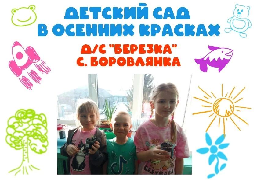 Проект «Огород на участке детского сада» завершился аппетитным урожаем!