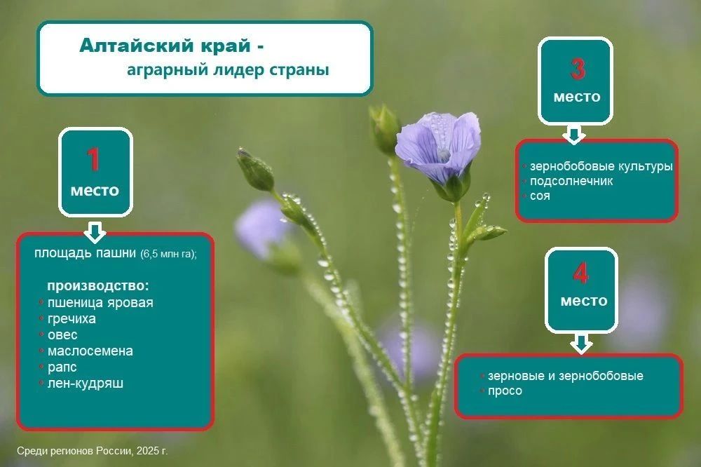 С Днем работника сельского хозяйства и перерабатывающей промышленности! С Днем работника сельского хозяйства и перерабатывающей промышленности!