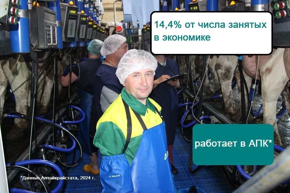 С Днем работника сельского хозяйства и перерабатывающей промышленности! С Днем работника сельского хозяйства и перерабатывающей промышленности!