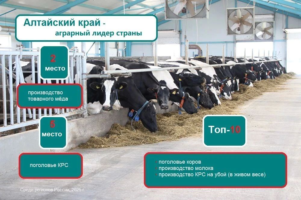 С Днем работника сельского хозяйства и перерабатывающей промышленности! С Днем работника сельского хозяйства и перерабатывающей промышленности!