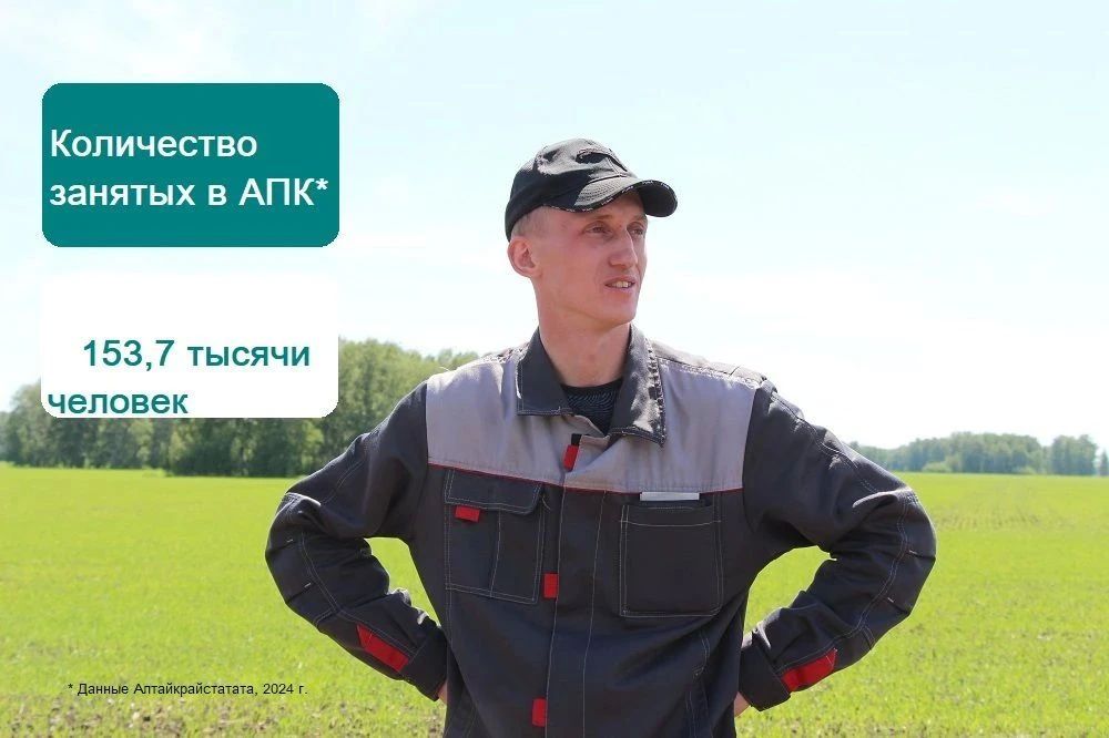 С Днем работника сельского хозяйства и перерабатывающей промышленности! С Днем работника сельского хозяйства и перерабатывающей промышленности!