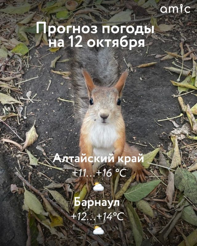 Доброе утро! О погоде на 12 октября