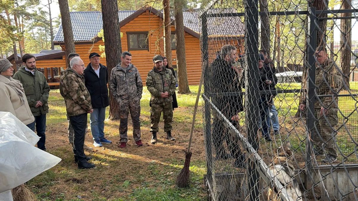 Безопасное соседство: прорабатываем законодательные решения для защиты людей от диких животных и сохранения природного баланса Безопасное соседство: прорабатываем законодательные решения для защиты людей от диких животных и сохранения природного баланса