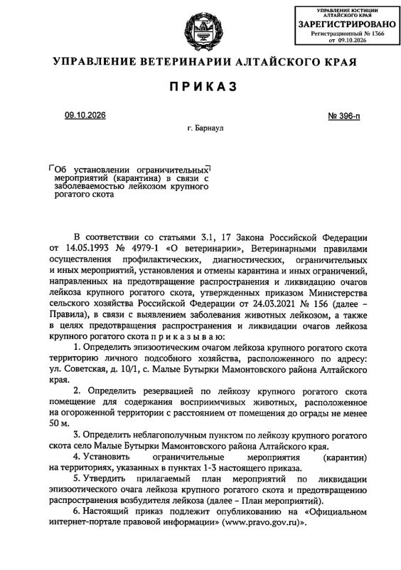 Очередную вспышку лейкоза крупнорогатого скота выявили в Алтайском крае