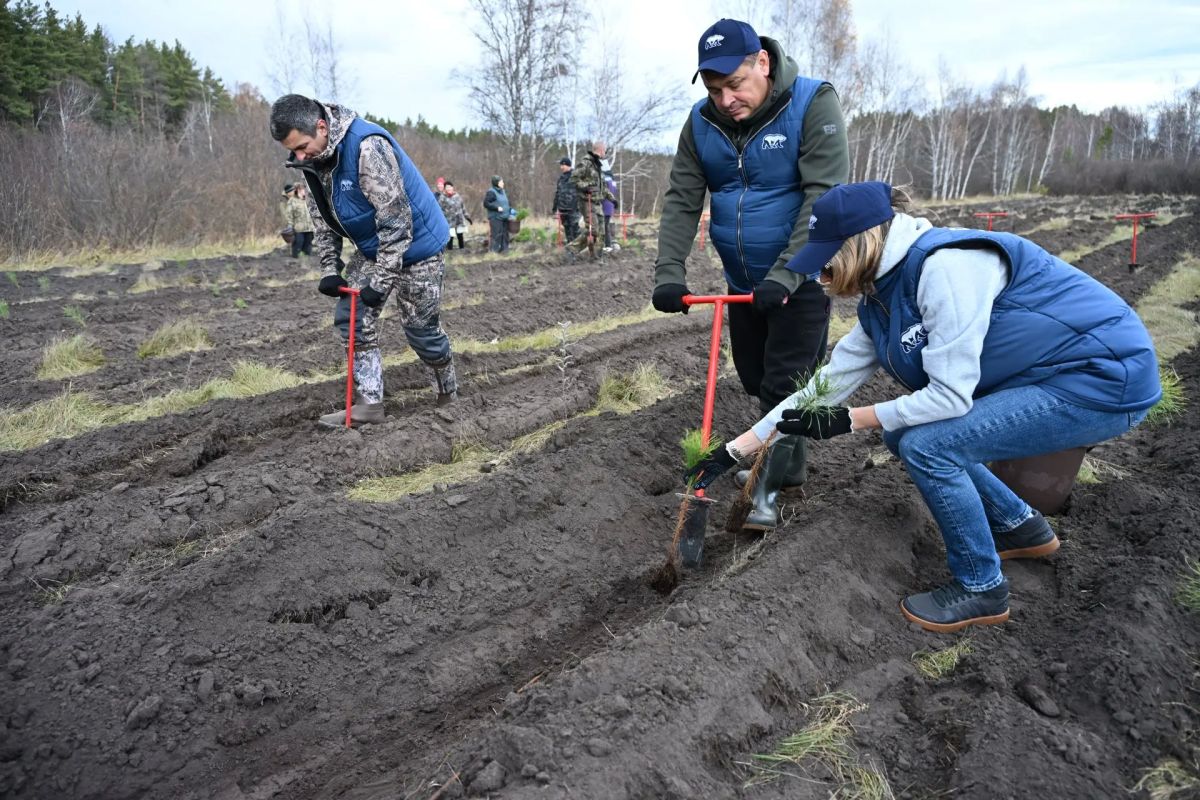 Всероссийская акция «Сохраним лес» объединила жителей Алтайского края в масштабной высадке деревьев Всероссийская акция «Сохраним лес» объединила жителей Алтайского края в масштабной высадке деревьев