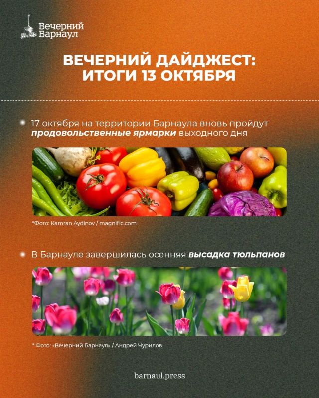 Продовольственные ярмарки 17 октября, завершение осенней высадки тюльпанов и итоги проекта «Дворовый инструктор», объединившего более пяти тысяч барнаульцев